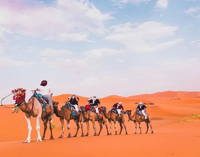 Camel Trekking